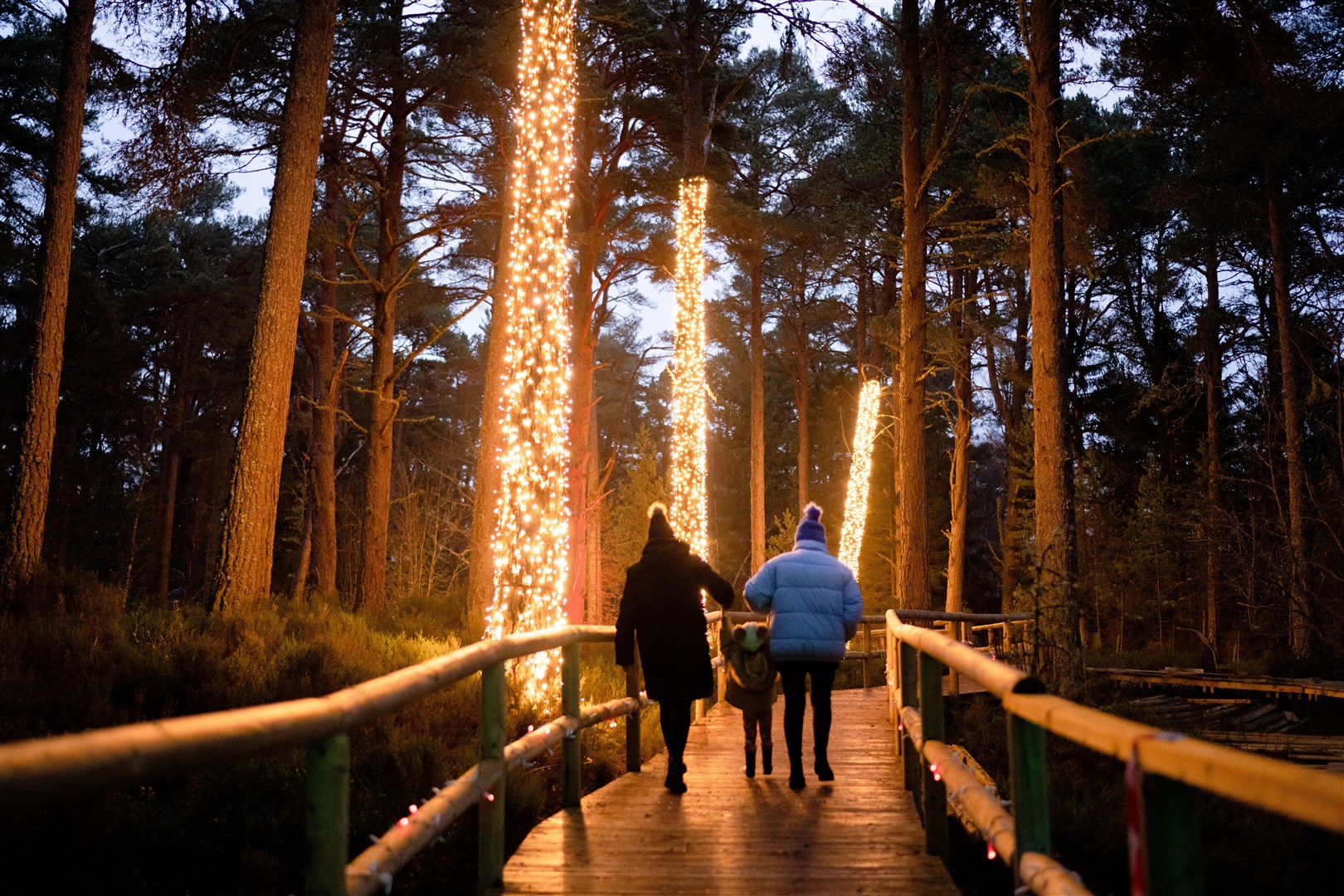 FOLLOW THE TWILIGHT TRAIL: Magic at Carrbridge