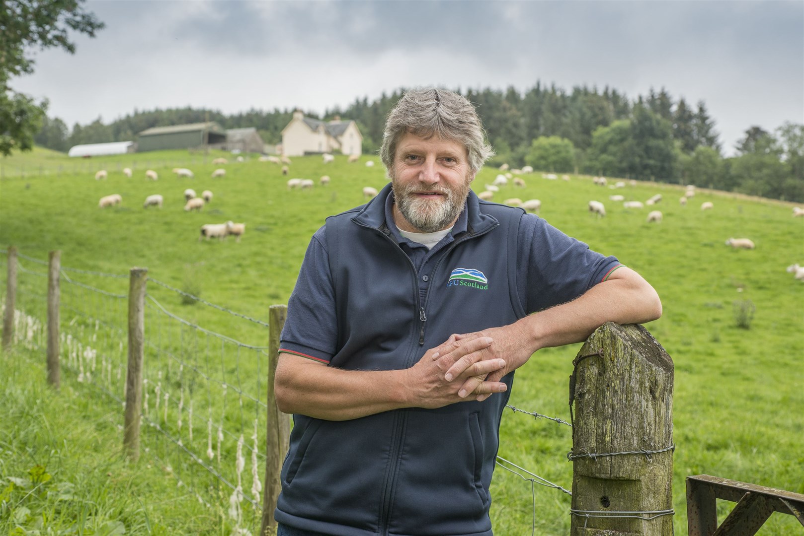Martin Kennedy safe with his sheep