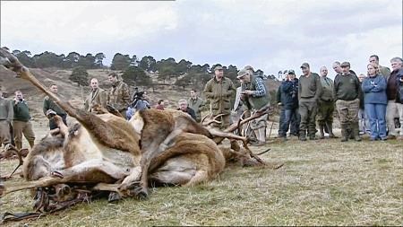 The cull at Glenfeshie Estate in 2004 which sparked huge controversy