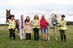 Horse meeting