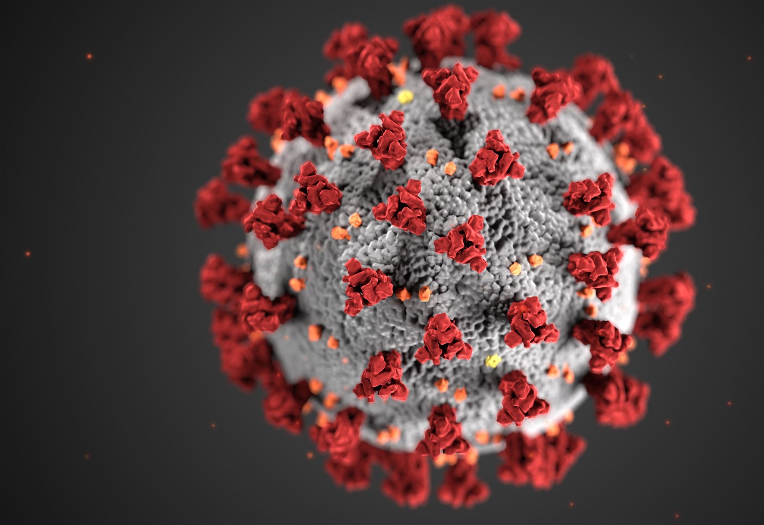 The number of confirmed coronavirus cases in the Highlands has increased.