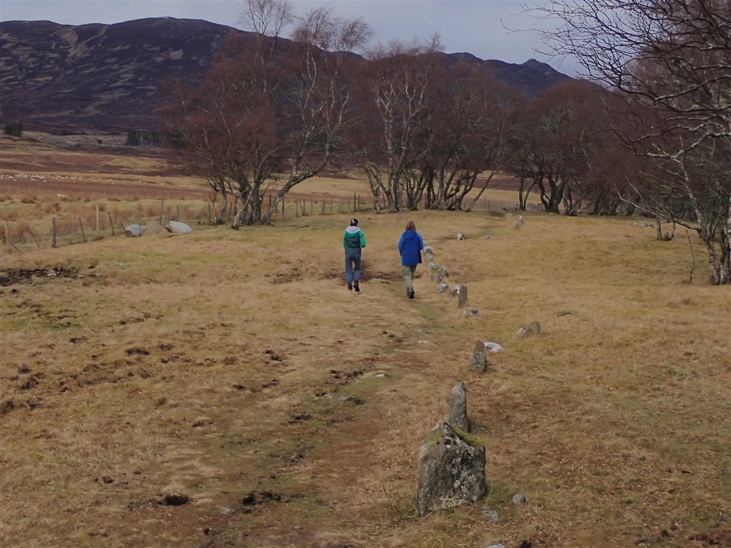 Following the Wildcat Trail between Craggan and Strone.