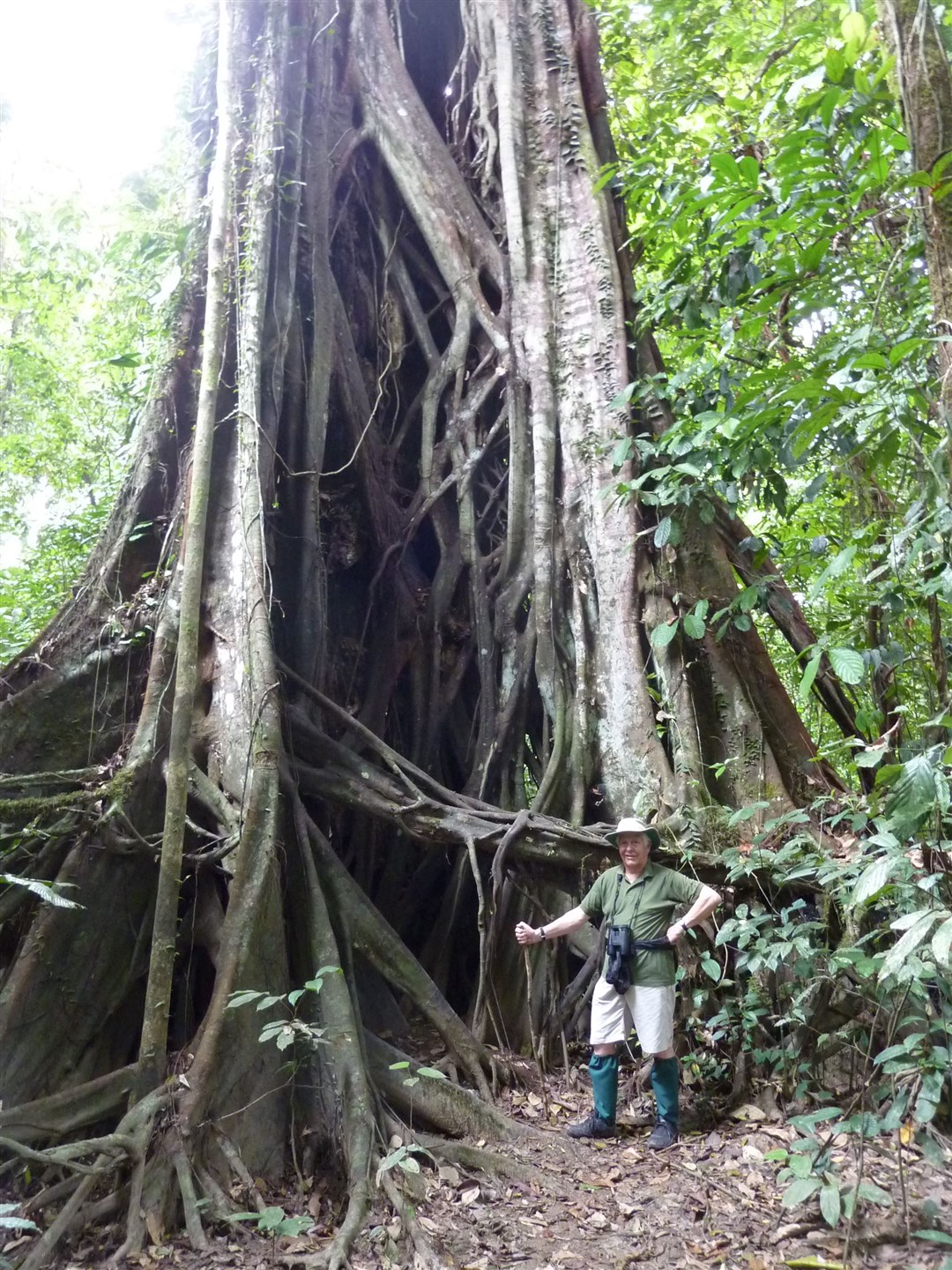 Robin Hanbury-Tenison during a visit to Borneo in 2015 (Robin Hanbury-Tenison/PA)