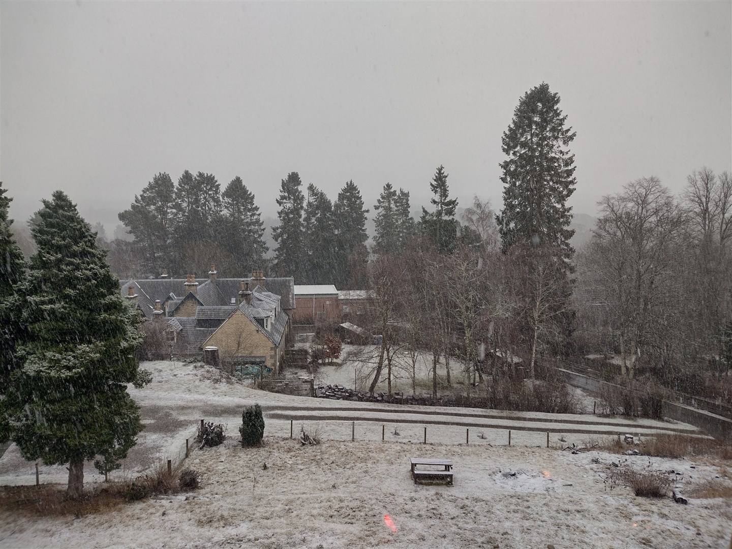 Snow is falling in Kincraig on Christmas Day