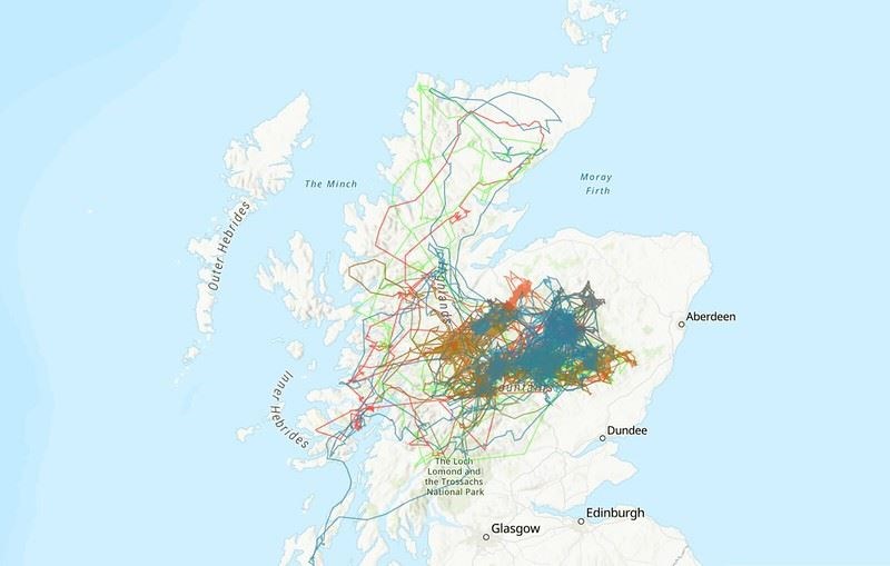FLYING HIGH: The golden eagle flight lines from the Badenoch base to the outside world (WildLand Ltd)