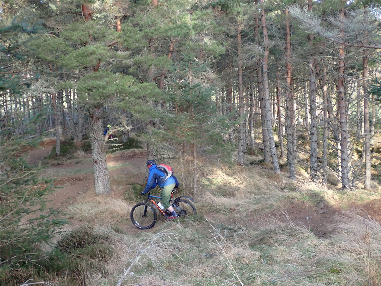 John descends through some S-bends in the trees.