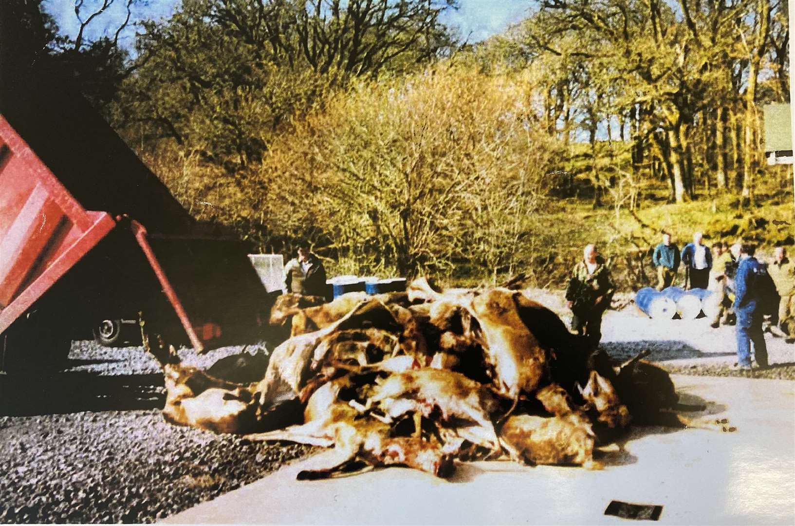 March 2002: deer carcasses dumped from a lorry onto a car park after lying on a hill for 36 hours. Deer were culled, out-of-season, by Forestry Commission staff within the Queen Elizabeth Forest Park. 130 Carcasses were collected from the hill by helicopter before being dumped in the car park and later sold.