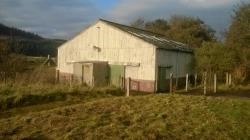 Rogart Auction Mart