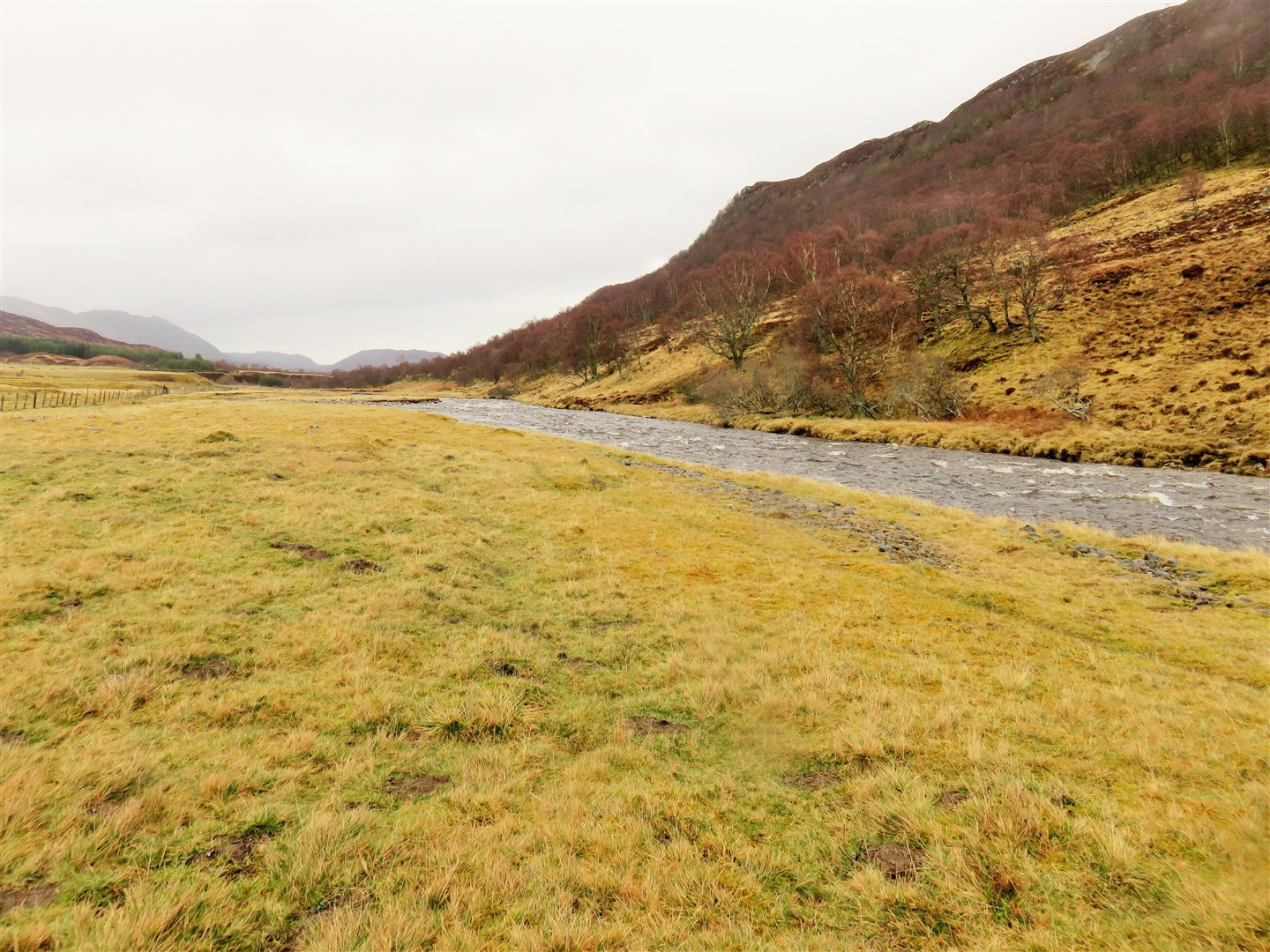 There will be an extensive programme of tree planting along the River Calder which will help juvenile salmon.