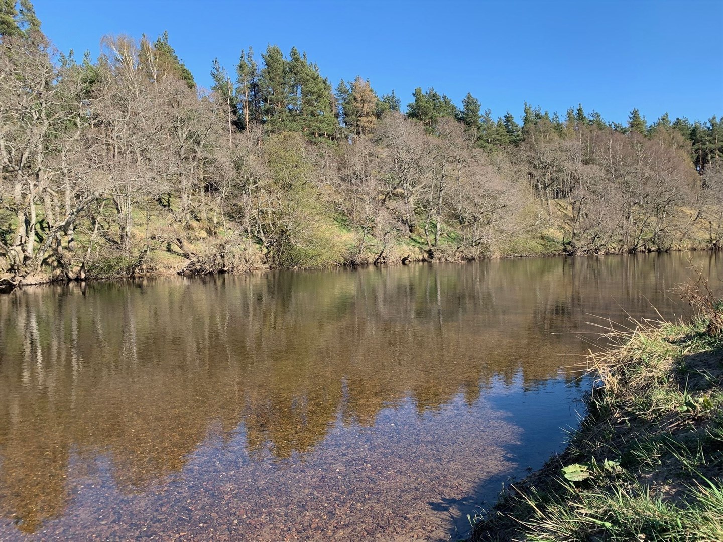 The River Spey by Aviemore.