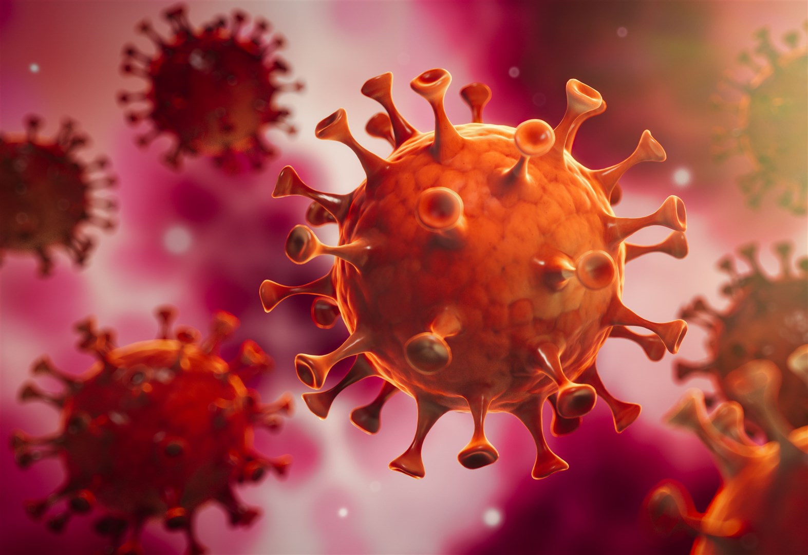 Coronavirus image.