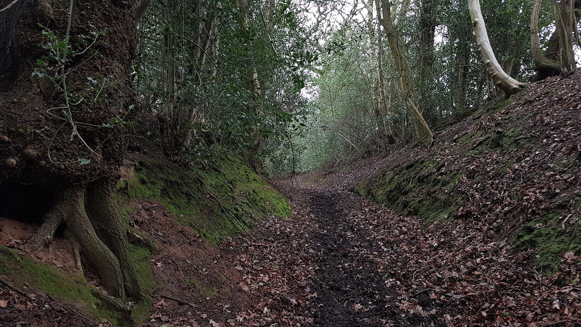 A holloway that has been found and needs adding to the map (The Ramblers/PA)