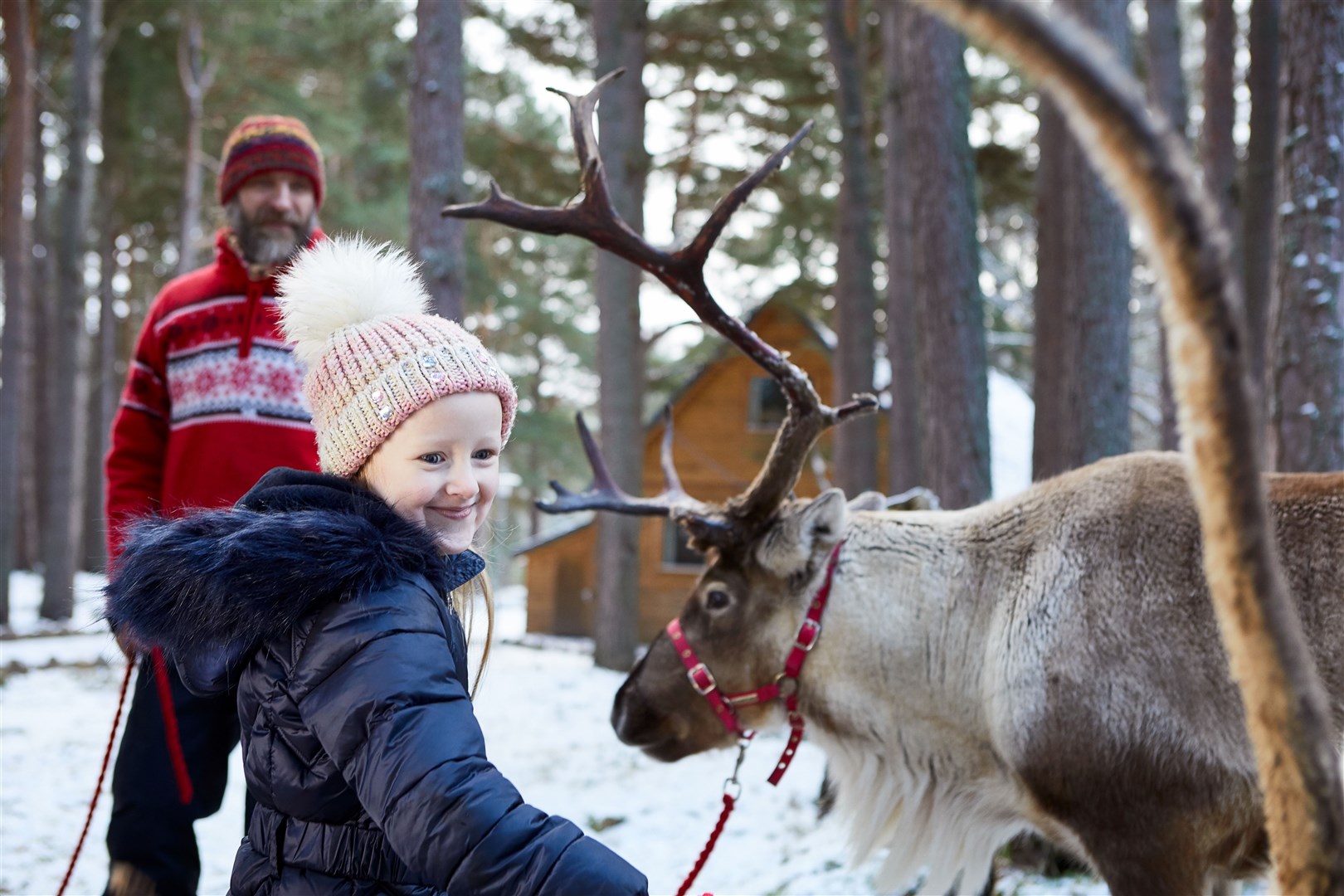 YOU SLEIGH ME: One of Santa's reindeer made Charlotte's day at Macdonald Aviemore Resort