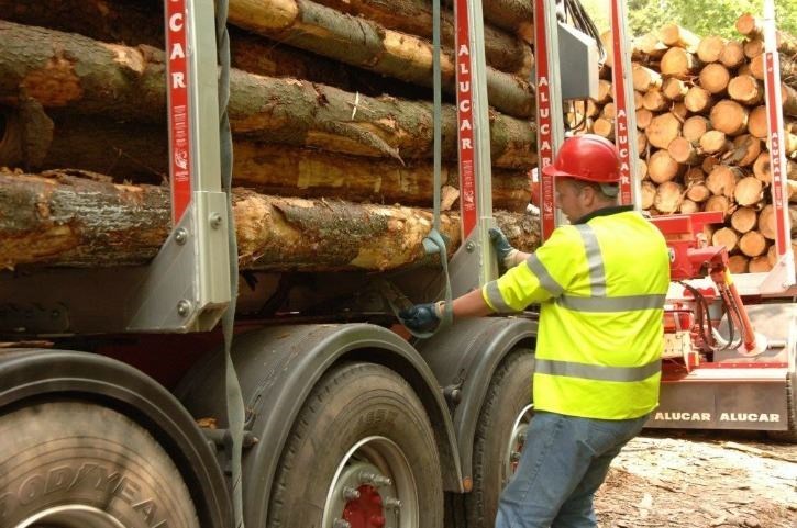 A timber haulier securing a lorry load of timber.