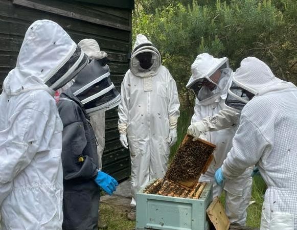 HIVE OF INDUSTRY: Yesterday's starter course for new beekeepers in Badenoch and Strathspey was a big success.