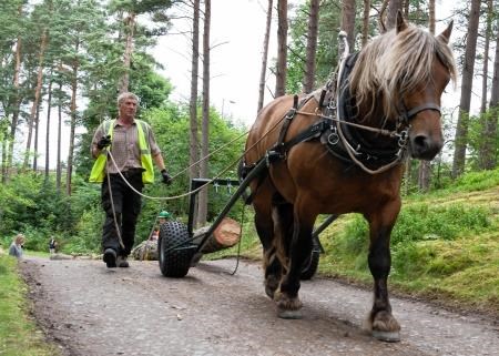 Tarzan will be there in Badenoch this weekend