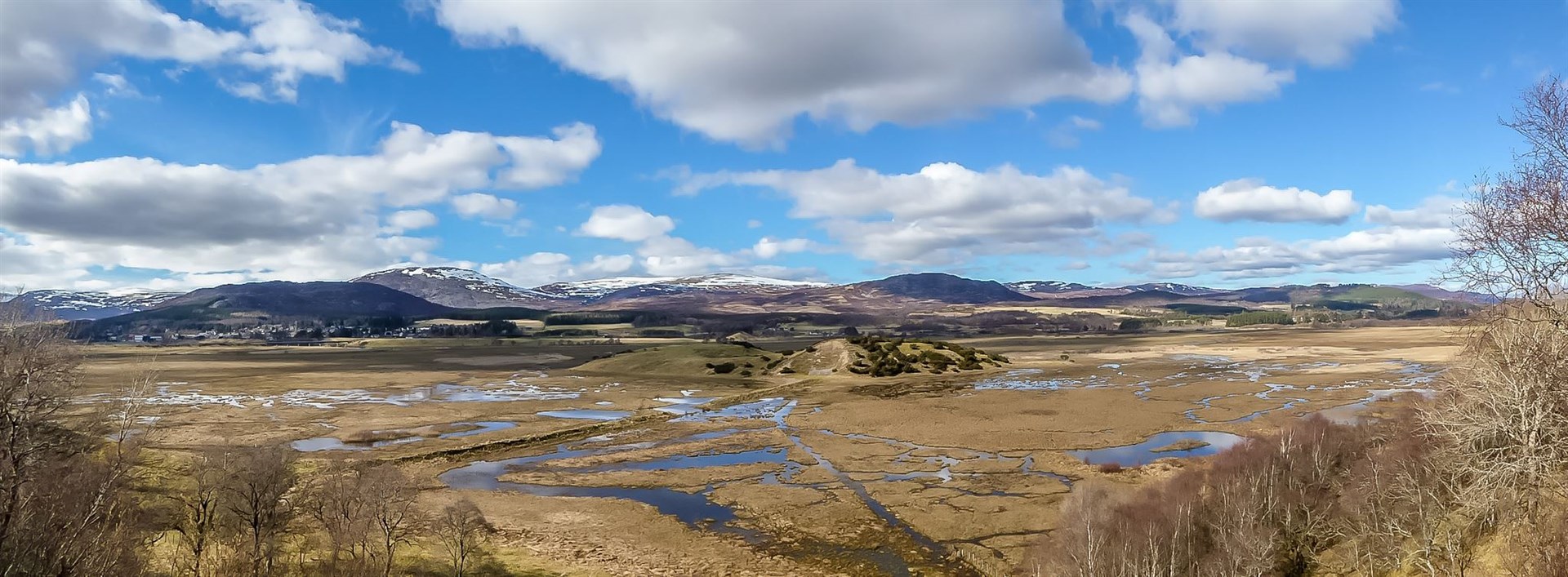 Insh Marshes will be one of the first three release sites for the beavers in the strath.