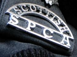Charity is appealing for information on the attack