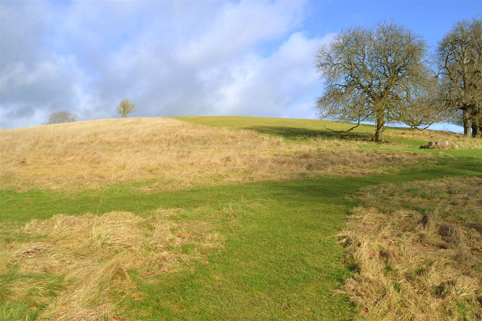 The location for the new 80 tree avenue to be planted at Dyrham Park (National Trust)