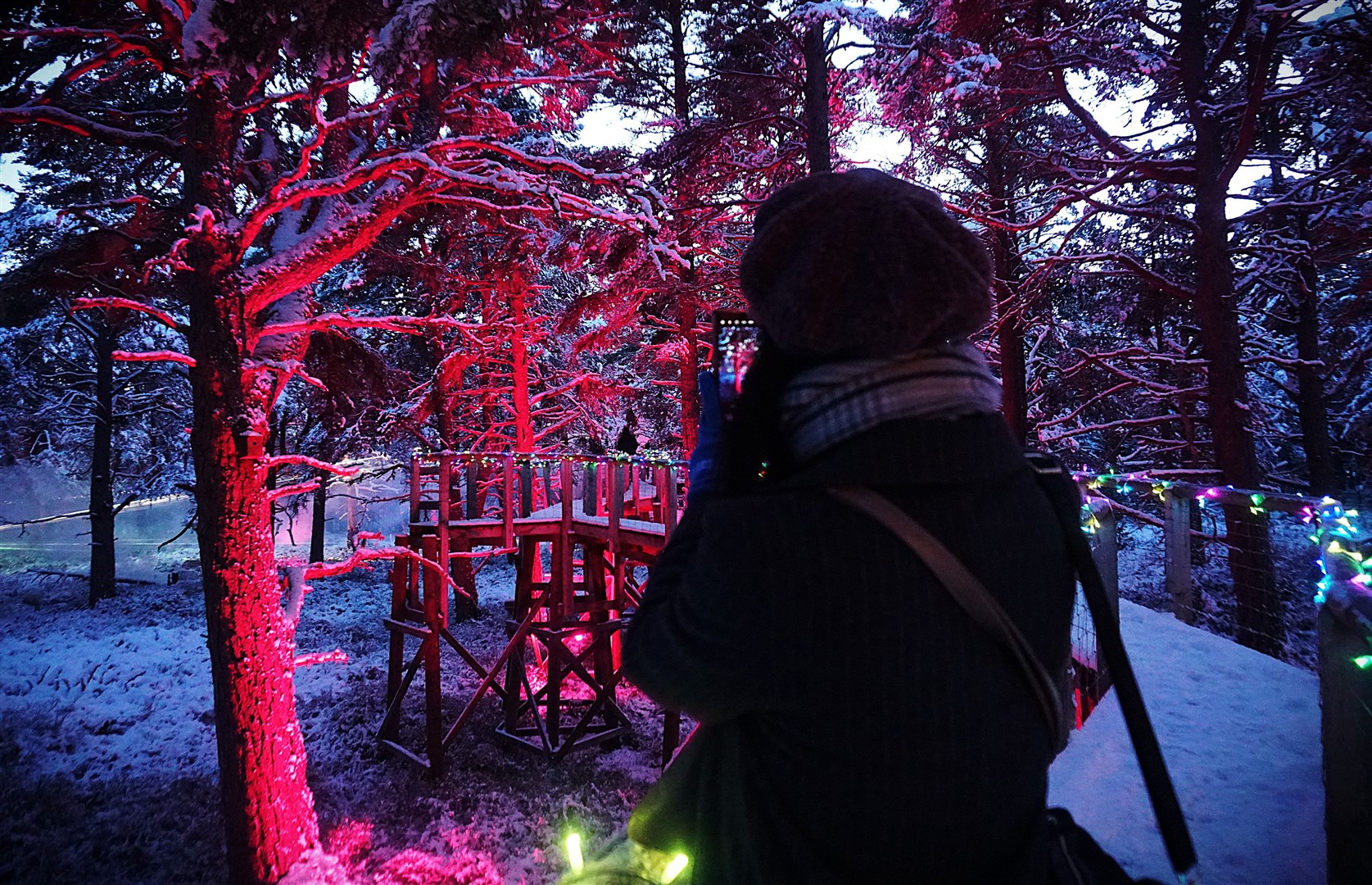 The Ancient Forest Twi-LIGHTS experience at Landmark Forest Adventure Park in Carrbridge. Picture: Federica Stefani.