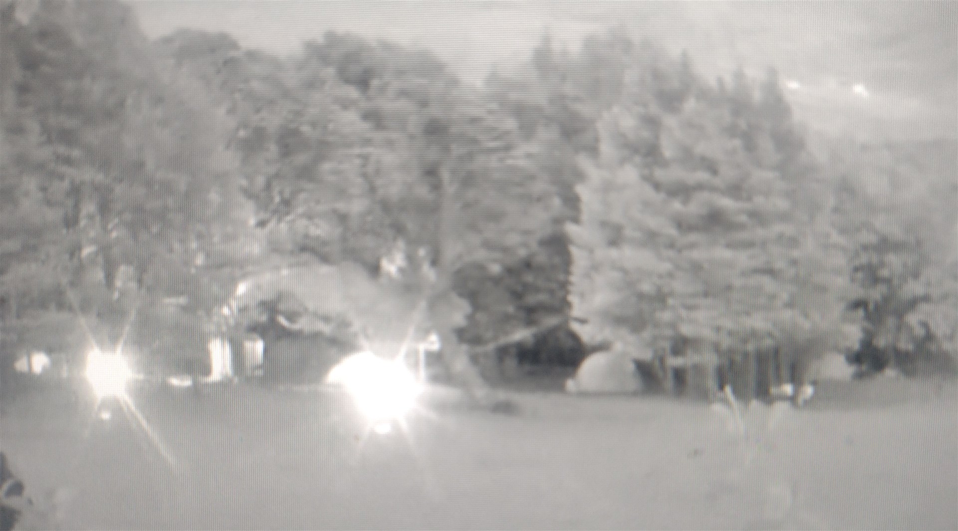 Campers defy the warnings tonight, as seen on the Loch Morlich webcam