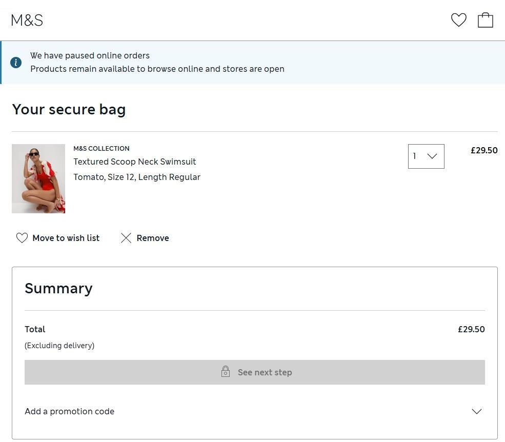 A screengrab taken from retailer Marks & Spencer’s website with a message saying online orders have been paused (Marks & Spencer/PA)