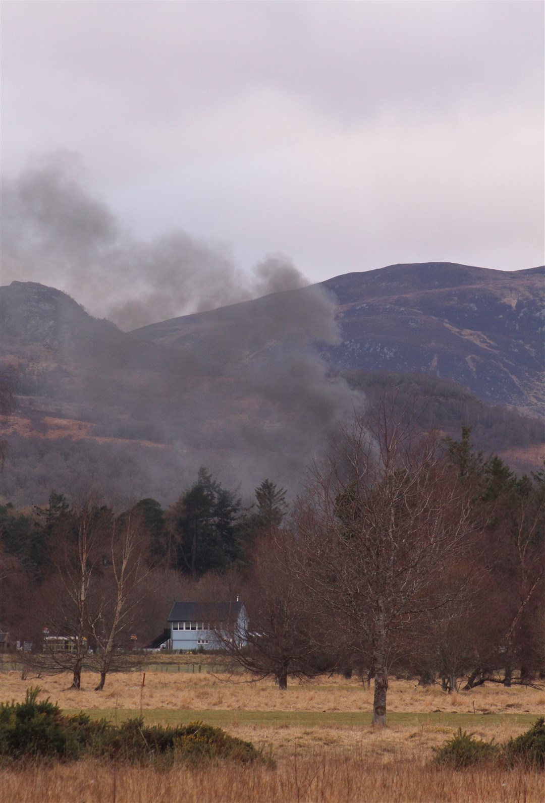 'WE WONDERED IF IT WAS RUBBISH': Visitors doing the wildcat trail spotted a plume of smoke this evening over Newtonmore