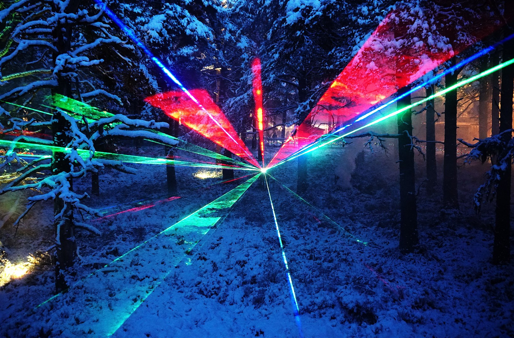 The Ancient Forest Twi-LIGHTS experience at Landmark Forest Adventure Park in Carrbridge. Picture: Federica Stefani.