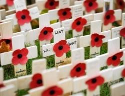 poppies