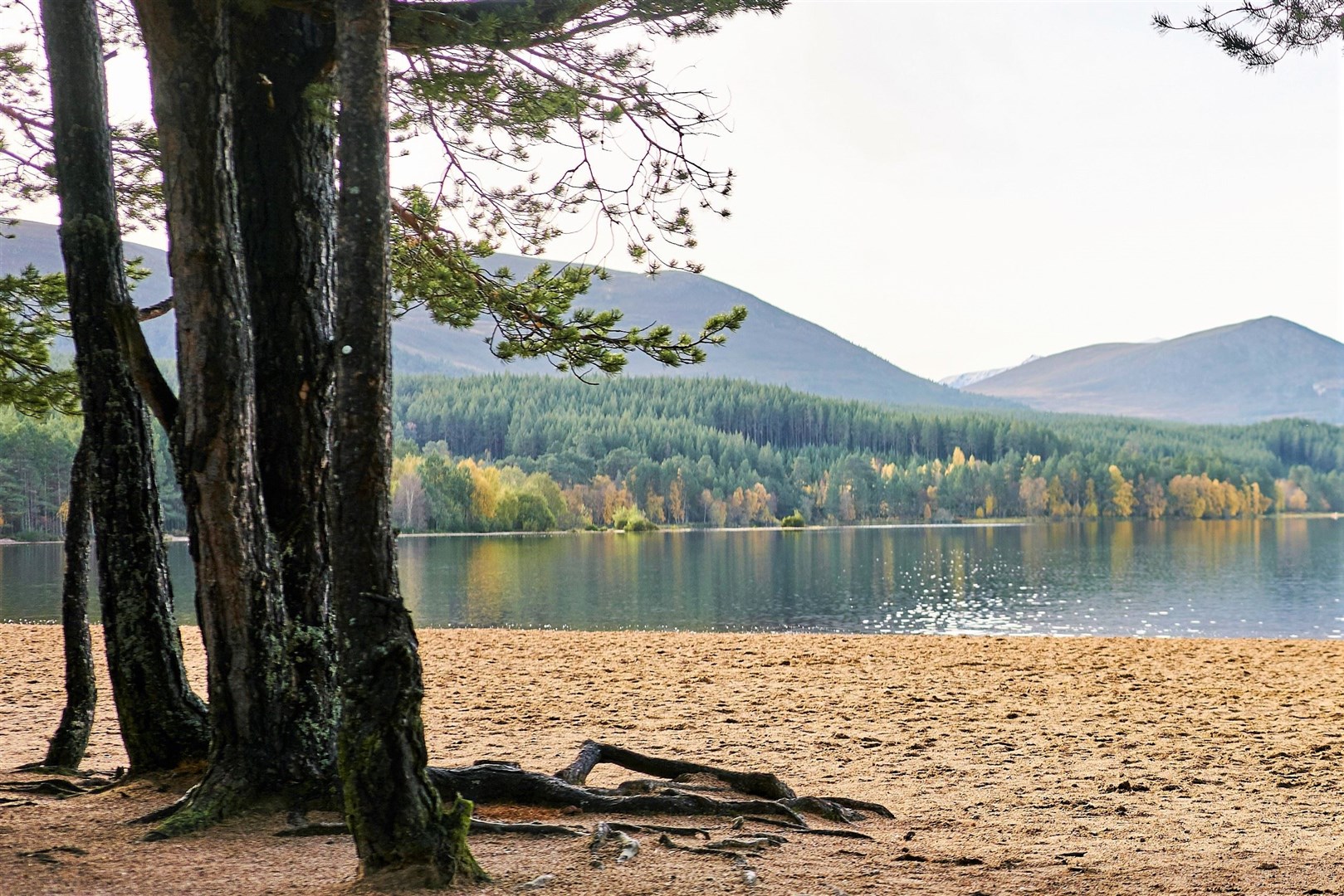 One of the quieter days at Loch Morlich.