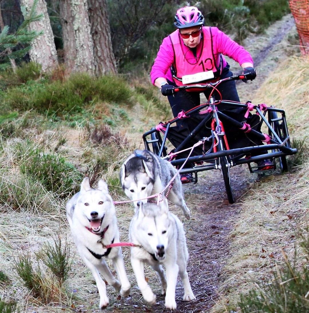 Huskies on the move