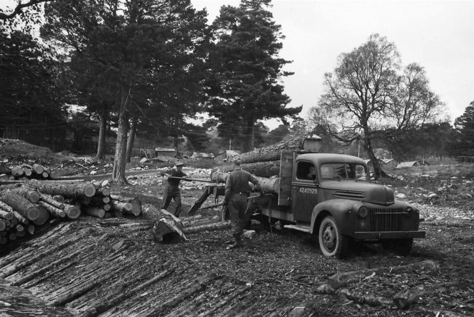 Canadian Forestry Corps at Marr Lodge. Picture: Alastair Cassie.