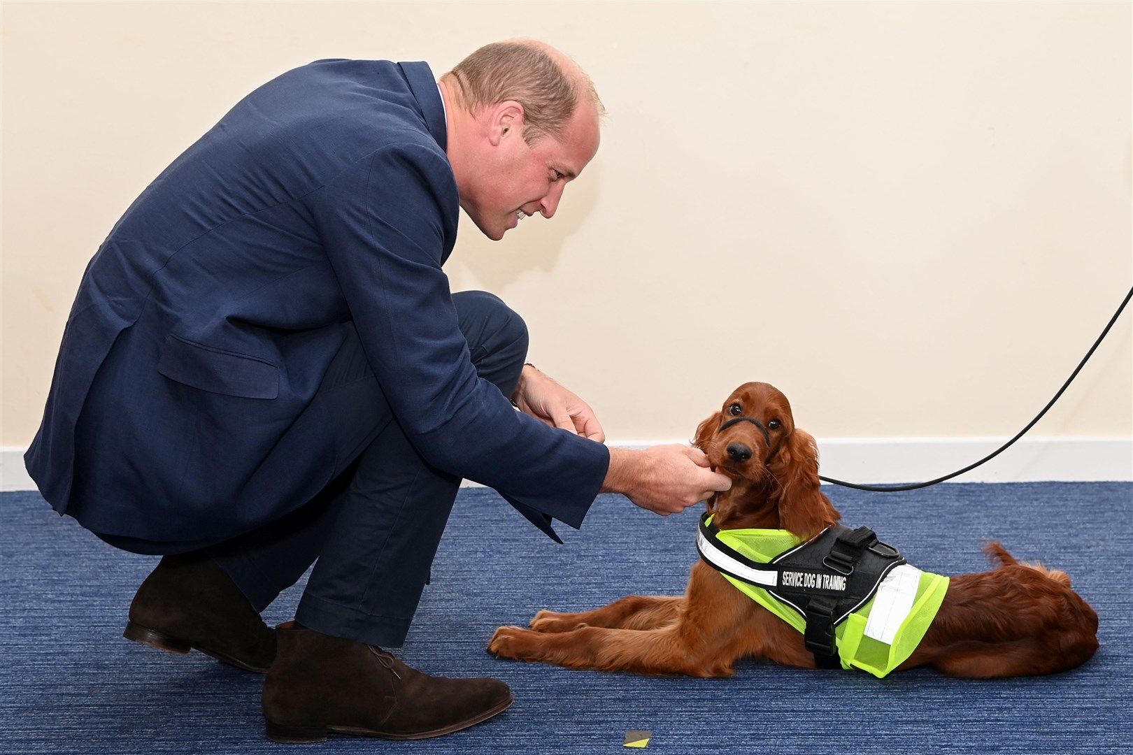 The Duke of Cambridge meets Irish setter Tara, who has been trained to provide comfort to those suffering from post-traumatic stress disorder (PTSD) (Tim Rooke/PA)