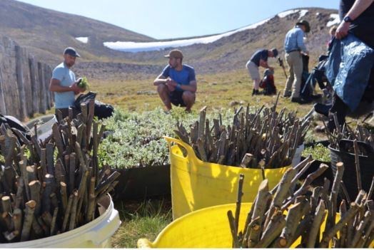 Cairngorms Connect Partnership staff and volunteers loading bags and tree-planting harnesseswith 4000 willow saplings and cuttings ©Cairngorms Connect.