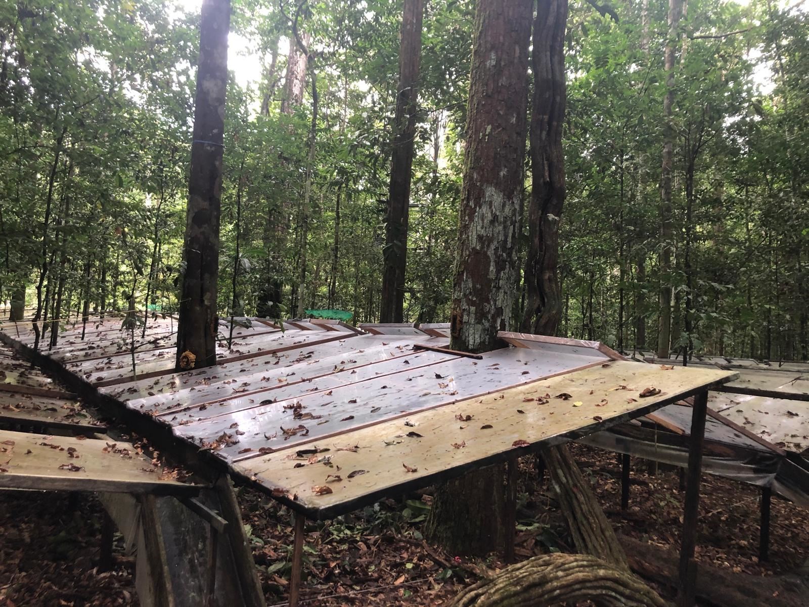 Panels were installed above the ground to collect water and force the area into drought (Pablo Sanchez Martinez/University of Edinburgh/PA)
