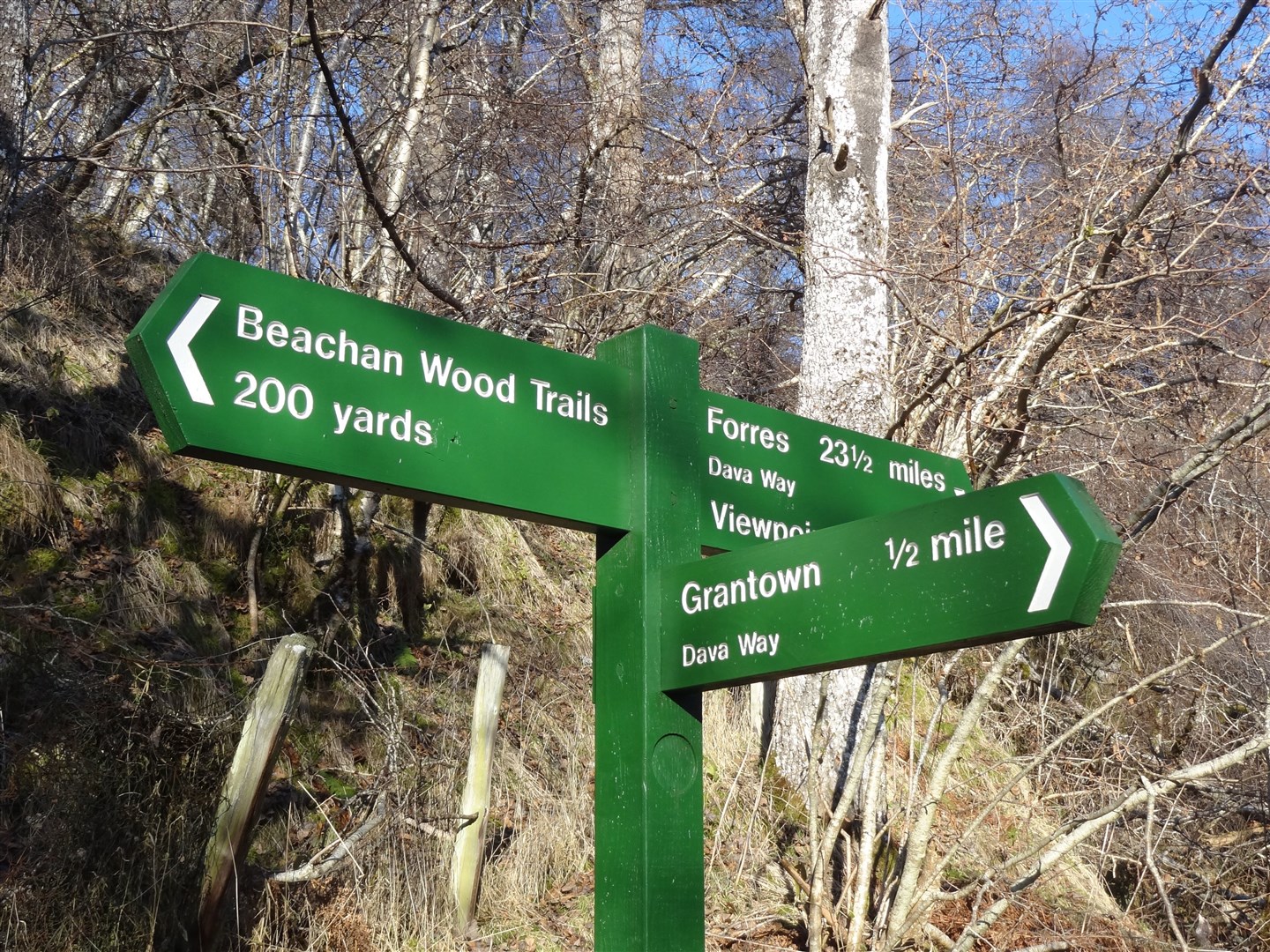 There are concerns over the public's safety in woods because of high speed motorbikers.