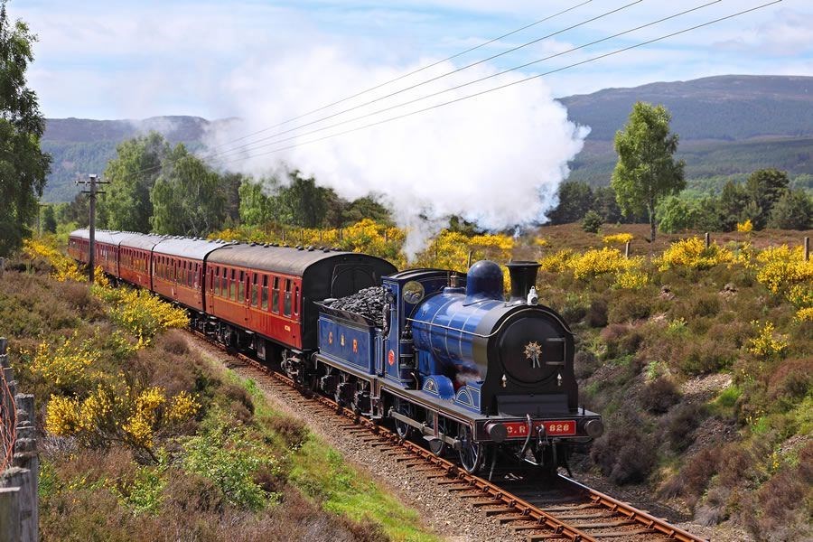 Let the train take the strain on the Highland Steam Railway.