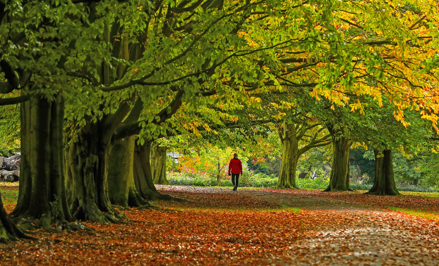 A woman walks through Clarke’s Gardens in Allerton, Liverpool (Peter Byrne/PA)