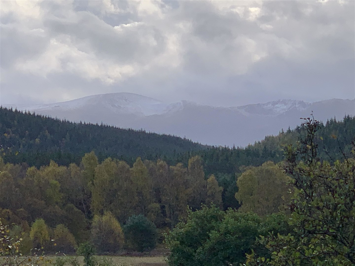 Where did they go? We want the Cairngorms returned from the south.