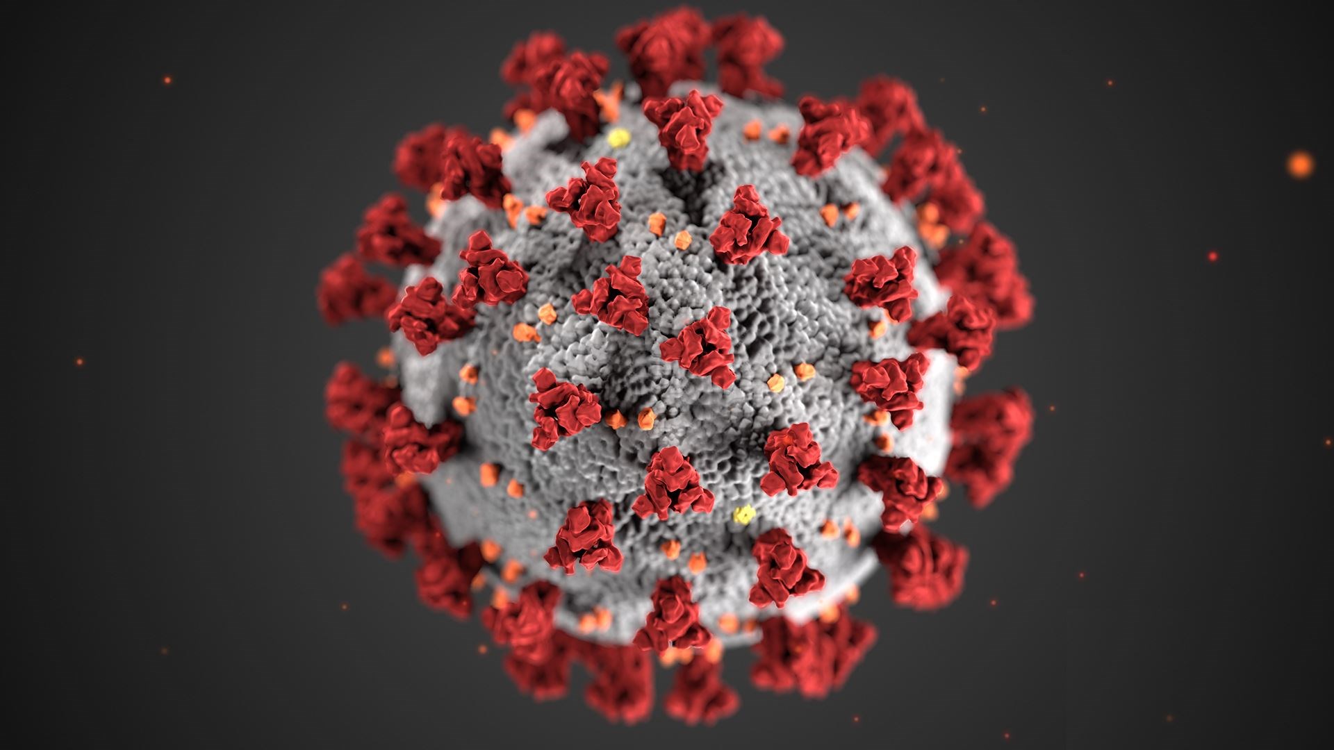 Latest coronavirus test figures.