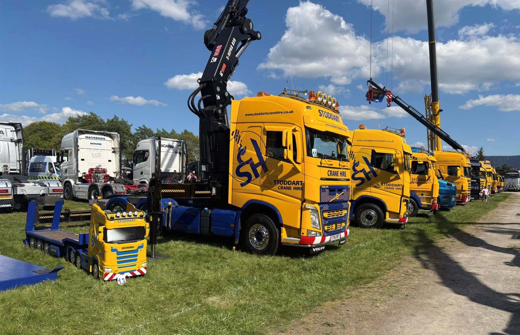 THE BIGGEST LITTLE SHOW IN TOWN: All shapes, all sizes!