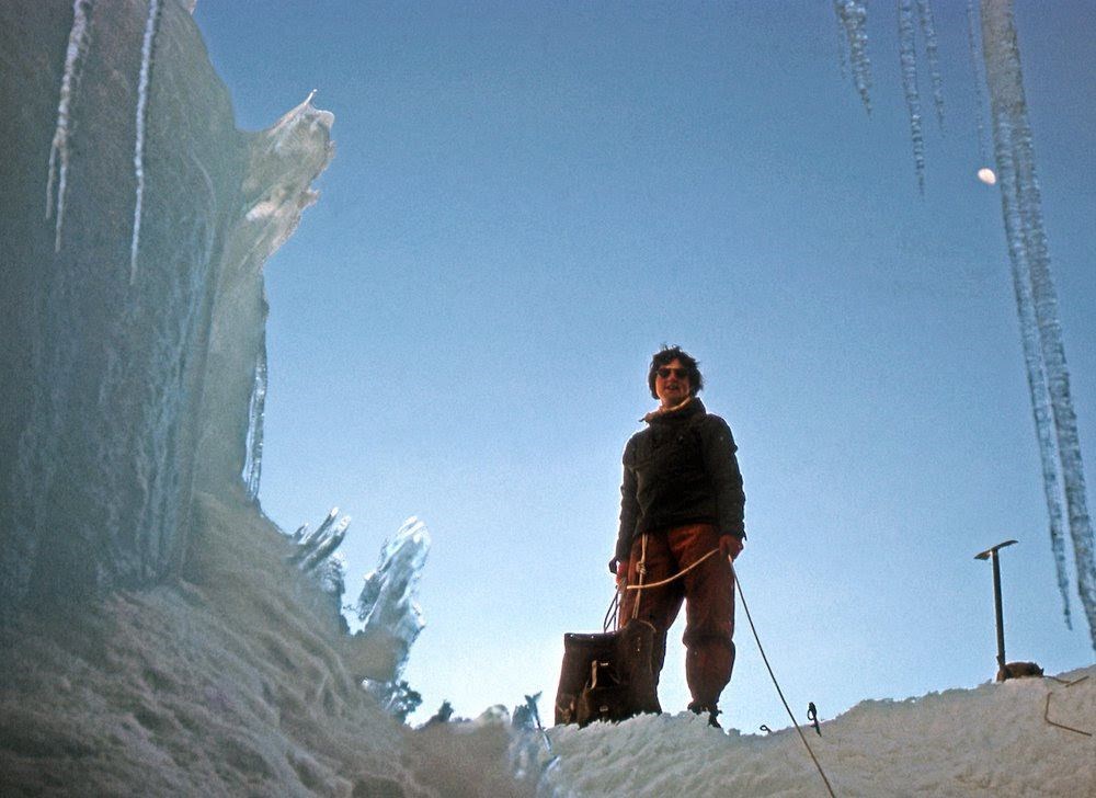 Myrtle in the ice