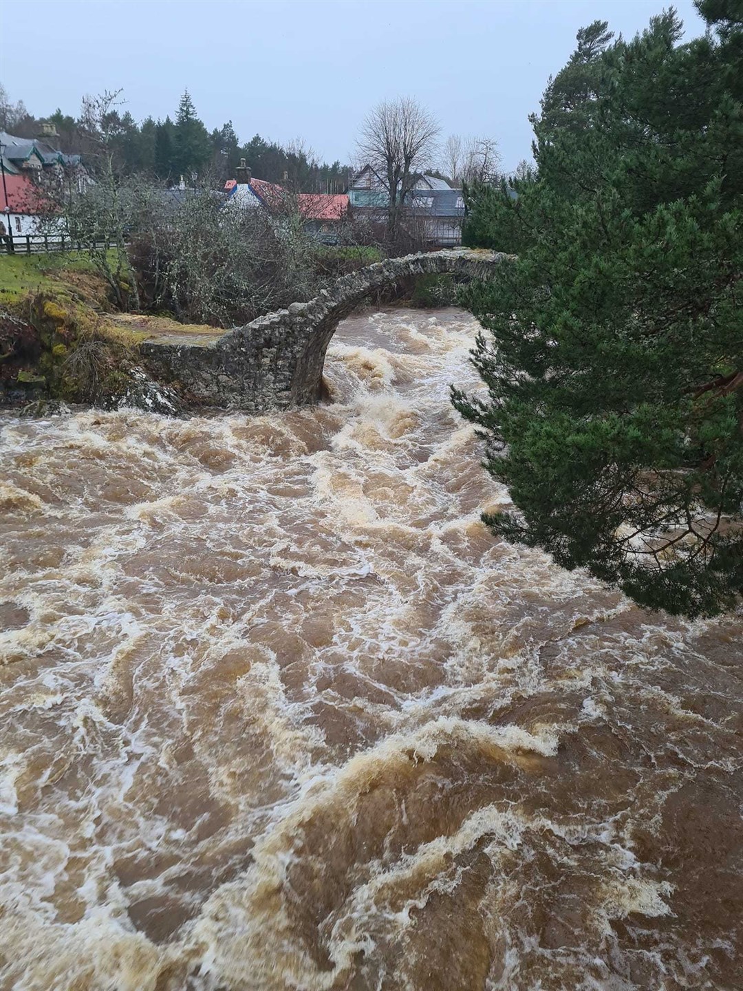 With continued rainfall all day rivers have spated across the area, including at Carrbridge's famous packhorse bridge (John Kirk).