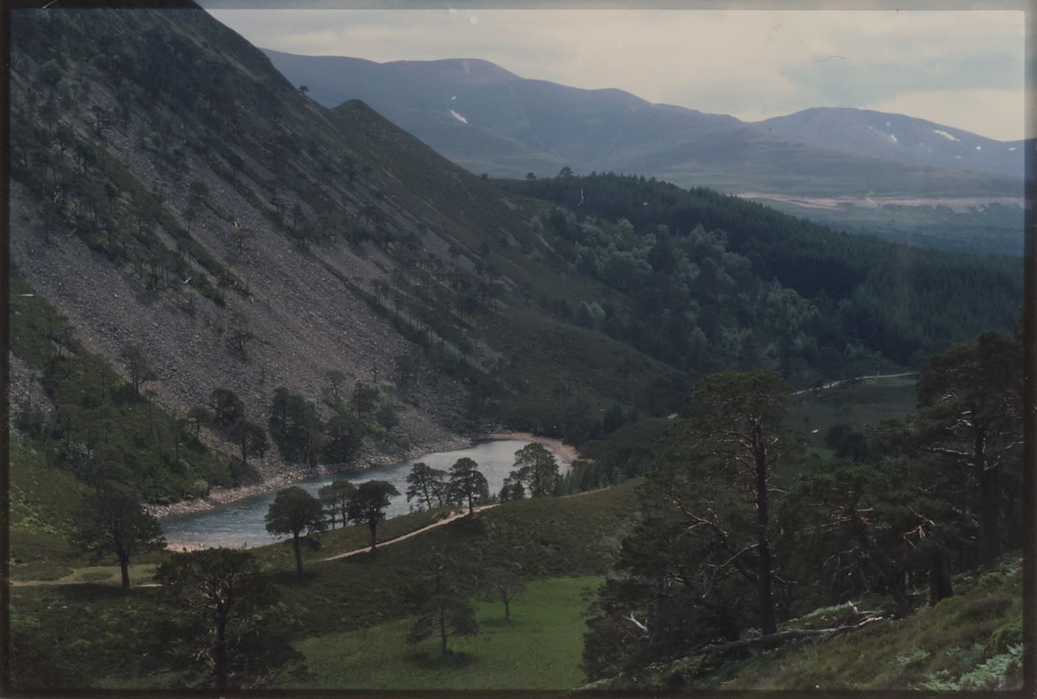 'Lovely high view of the Green Loch at Glenmore Forest' taken in 1984. Photo: George Dey