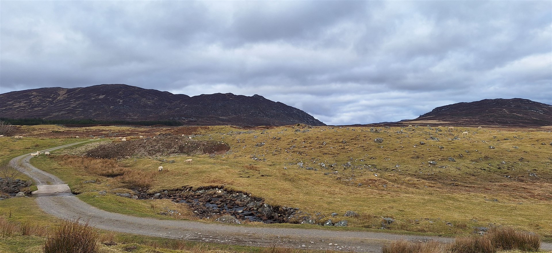 Looking towards the Monadhliath hills from Strone on the Wildcat Trail.