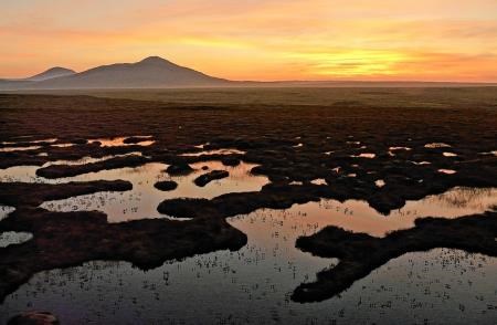 Forsinard Flow, Flow Country, RSPB Forsinard, Forsinard Nature Reserve, World Heritage Site, Taj Mahal, Great Barrier Reef