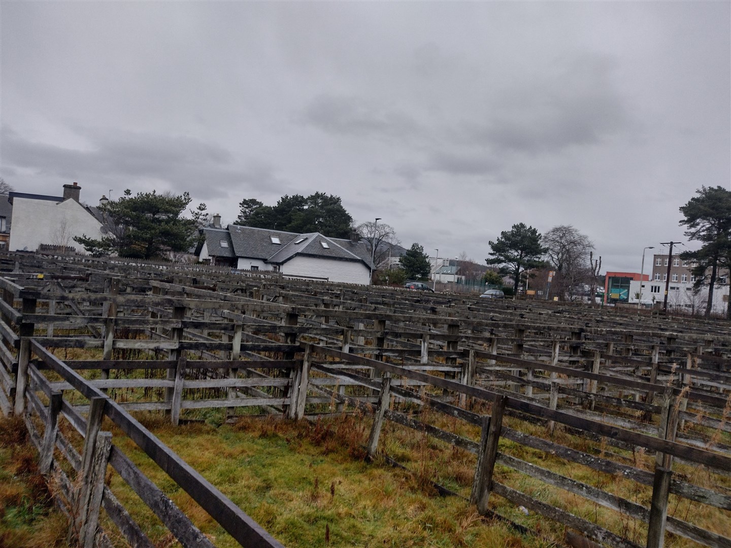 The market pens at Kingussie.