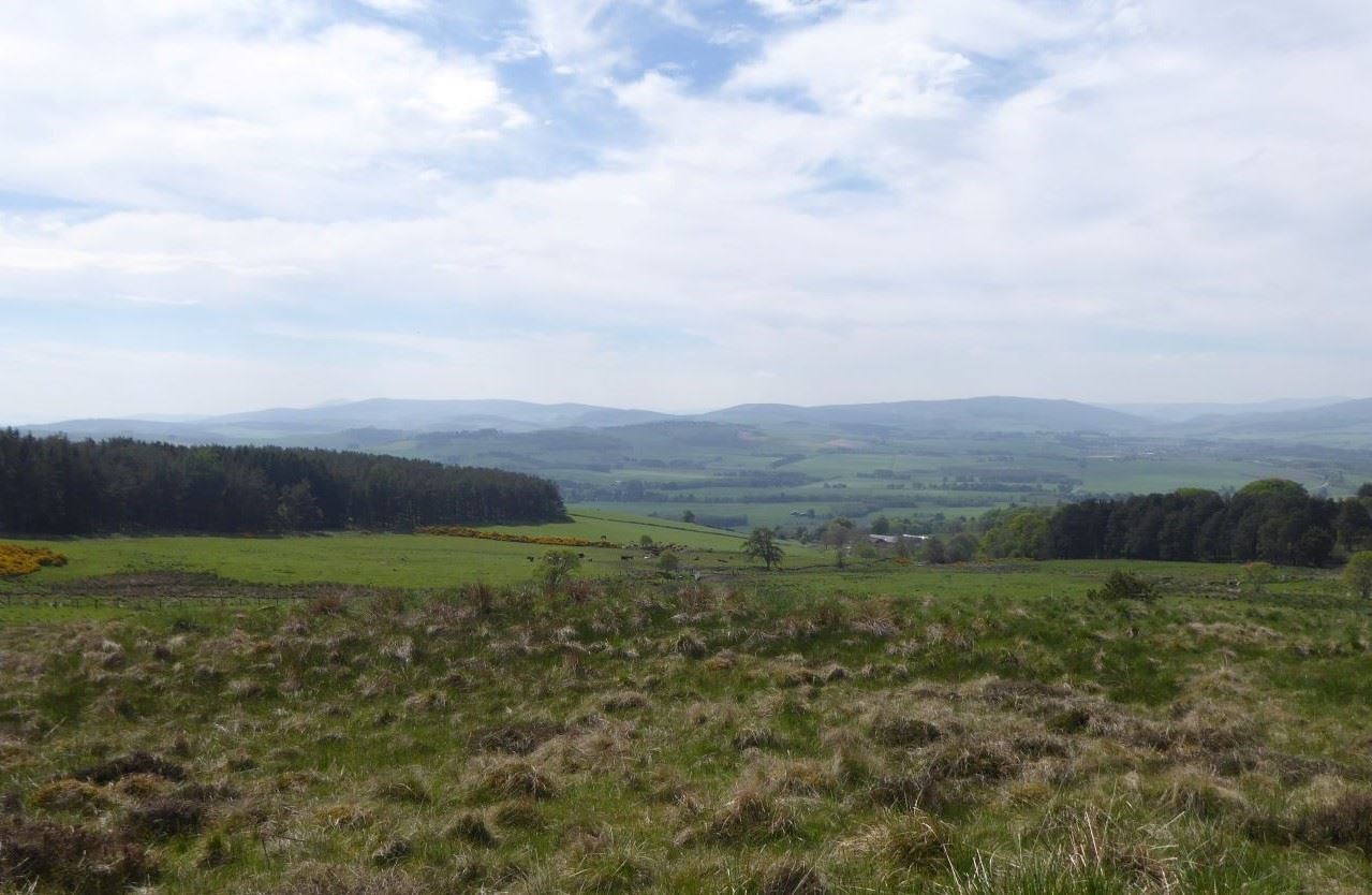 FLS is in a position now to acquire the lands it needs to 'up its game' in the drive for carbon zero