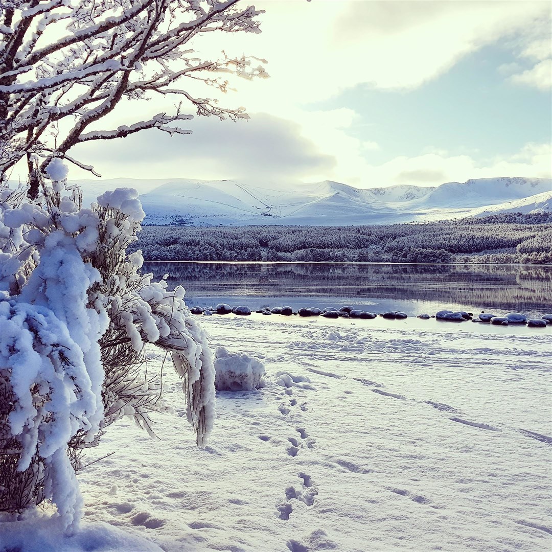 The Cairngorms have been looking spectacular from Loch Morlich but the snow berings added dangers. Mountain goers are being warned to check conditions before heading out. Picture: Dianne Frazer