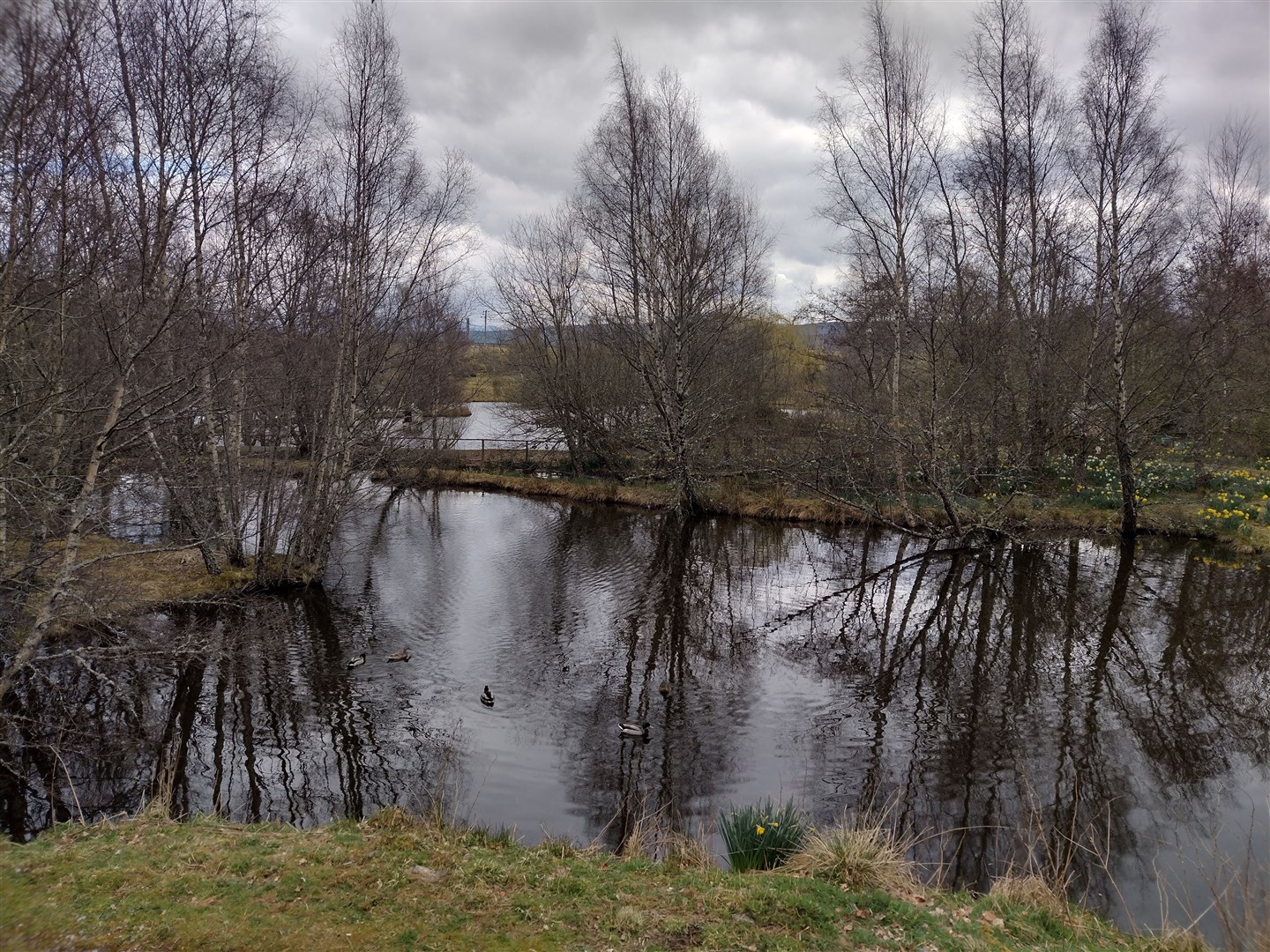 The Glebe Ponds at Kingussie